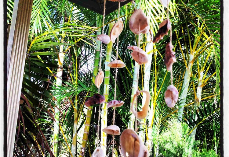 Home Made Shell Wind Chimes